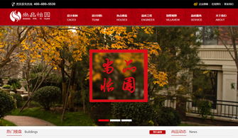 廊坊企業(yè)數(shù)字化轉型的堅實伙伴 迅騰網絡網站建設經典案例解析